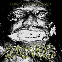 Pyemesis : Synaptic Degradation